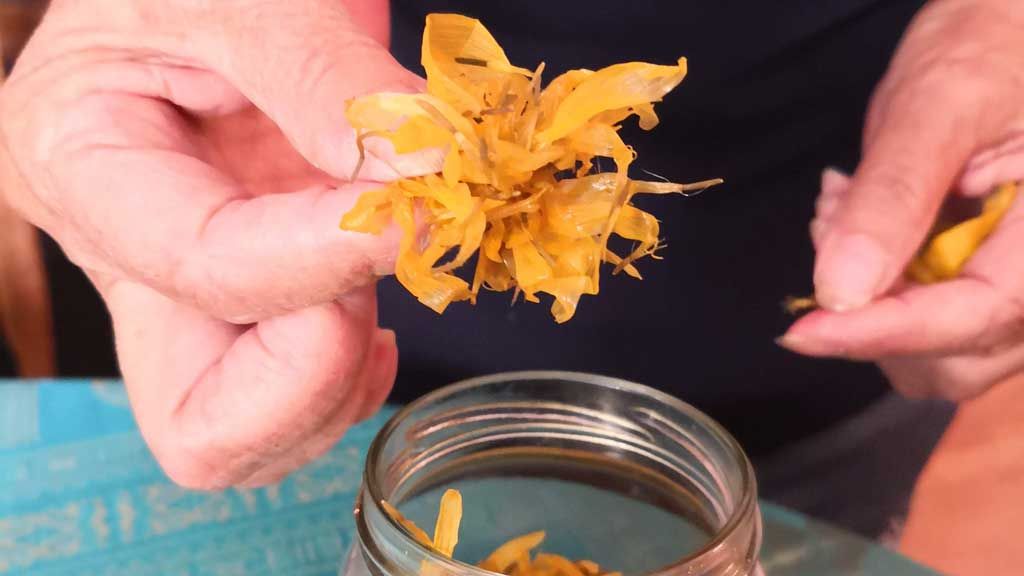 Àrnica (Arnica montana, subesp. Montana)