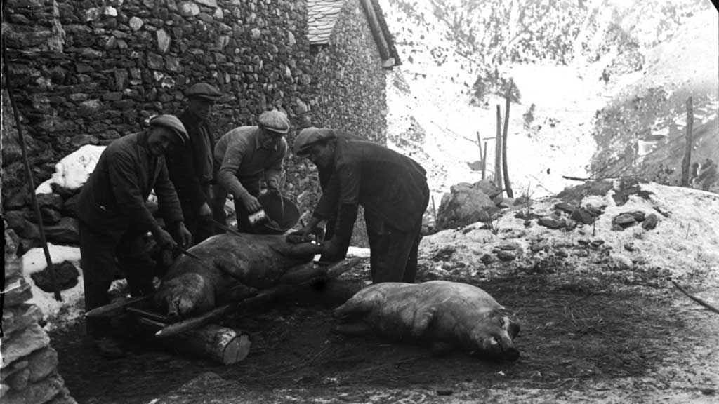 Aprofitament del porc